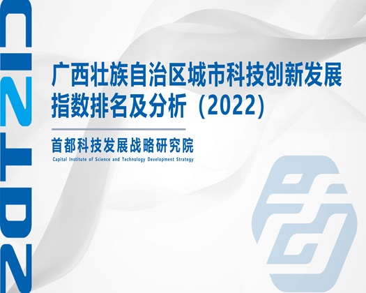 3大鸡巴操老逼视频【成果发布】广西壮族自治区城市科技创新发展指数排名及分析（2022）